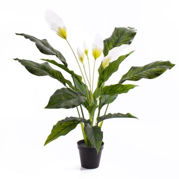 Plastic Spathiphyllum CASY, flowers, decorative pot, white, 31"/80cm