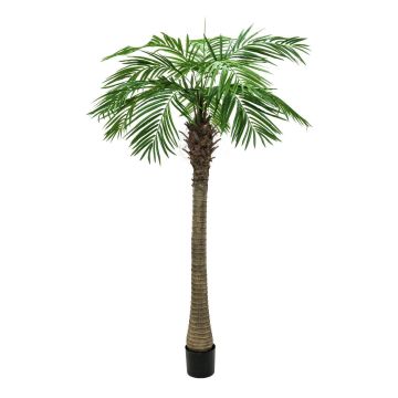 Fake Phoenix palm CARTER, 7ft/210cm