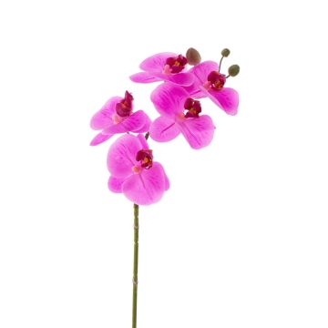 Fake phalaenopsis EMILIA, pink, 24"/60cm, Ø3.1"/8cm