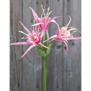 Artificial flower Spider lily VICTORIA, pink, 30"/75cm, Ø6.7"/17cm