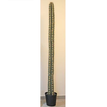 Artificial cactus SALVADOR, green, 7ft/205cm