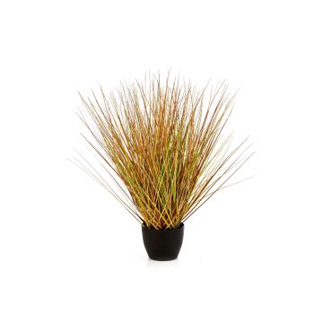 Silk switchgrass FLORIAN, in decorative pot, green-brown, 20"/50cm