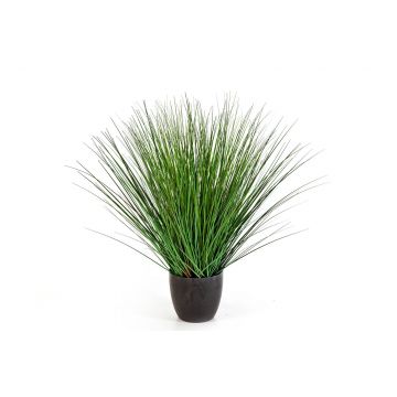 Silk switchgrass FLORIAN, in decorative pot, green, 75cm