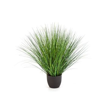 Silk switchgrass FLORIAN, in decorative pot, green, 85cm