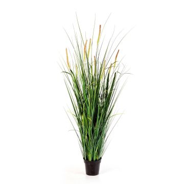 Fake foxtail grass FEHMI with panicles, green, 5ft/140cm