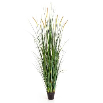 Fake foxtail grass FEHMI with panicles, green, 6ft/175cm