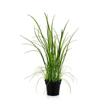 Artificial reed grass LENNOX, green, 28"/70cm