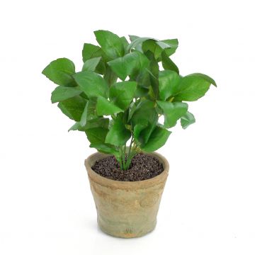 Artificial basil LUCANO, in a terracotta pot, green, 10"/25cm, Ø8"/20cm