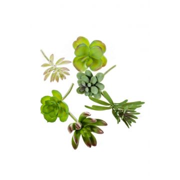 Fake set of succulents JADON, spike, 6 pieces, colourful, 5.1"/13cm, Ø2"/5cm