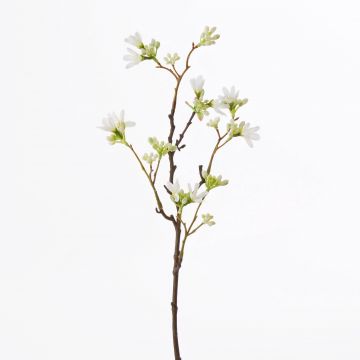 Artificial Seven son flower of Zhejiang MAREN, white, 20"/50cm