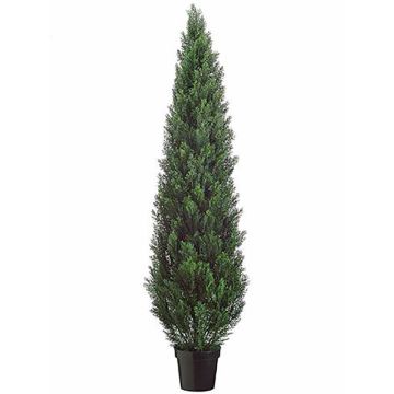 Artificial Cedar EDELA, UV-resistant, green, 6ft/180cm