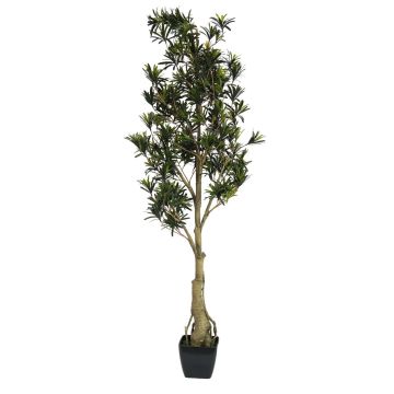 Plastic Podocarpus AMANDO, artificial stem, green, 4ft/115cm