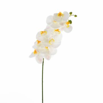 Fake phalaenopsis spray OPHELIA, white, 3ft/100cm, Ø4.7"/12cm