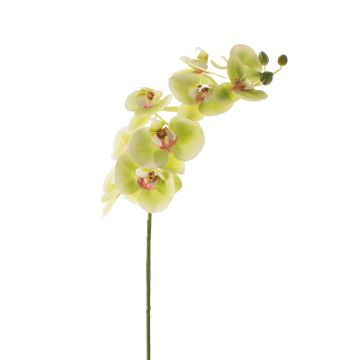 Fake phalaenopsis spray OPHELIA, green-pink, 3ft/100cm, Ø4.7"/12cm