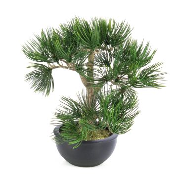 Plastic Bonsai pine CATALINA, in a planter, green, 14"/35cm