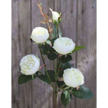 Artificial flower Cabbage rose SABSE, cream-white, 22"/55cm, Ø1.6"-2"/4-5cm