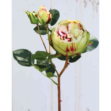 Artificial cabbage rose MIRETTA, green-burgundy, 24"/60cm, Ø1.2"-3.5"/3-9cm