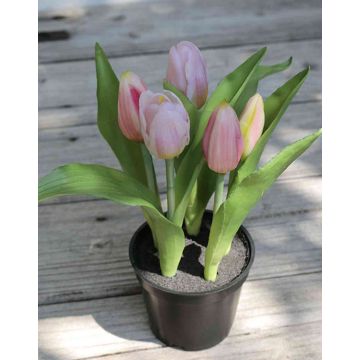 Artificial flower tulip LEANA in decorative pot, light pink-green, 8"/20cm, Ø0.8"-1.6"/2-4cm