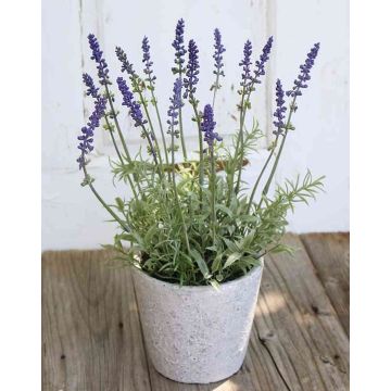 Artificial lavender FIORA in terracotta pot, violet, 14"/35cm