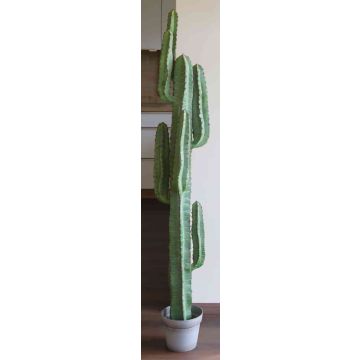 Plastic cactus OLIVERO, in decorative pot, green, 5ft/160cm