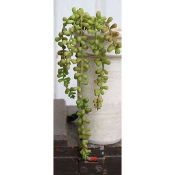 Plastic senecio hanging plant TERRI, spike, green-red, 16"/40cm