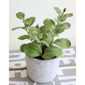Artificial Mint ALBUS in concrete pot, green, 6.7"/17cm