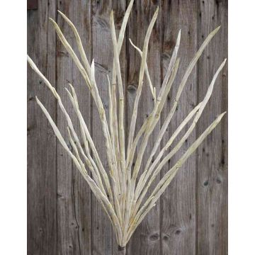 Artificial Reed Grass Branch MIRON, cream, 4ft/120cm
