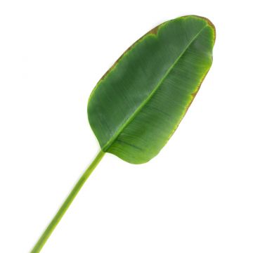 Fake Banana leaf YUMI, 3ft/95cm