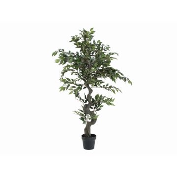 Plastic Ficus tree YUMA, artificial stem, green, 4ft/110cm