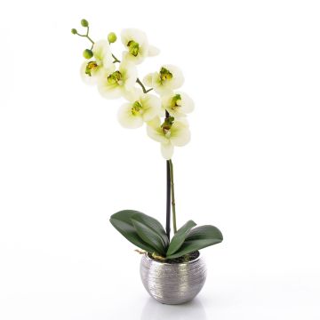 Artificial orchid Phalaenopsis EMILIA, decorative pot, cream-green, 18"/45cm
