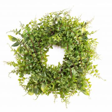 Artificial spleenworts wreath FRIEDRICH, green, Ø 16"/40cm