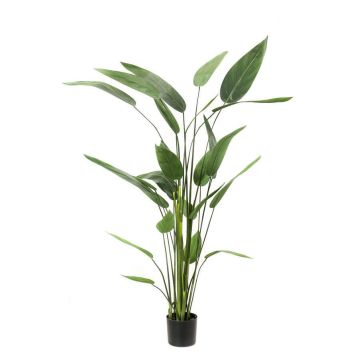 Fake Heliconia ANURIA, green, 6ft/175cm