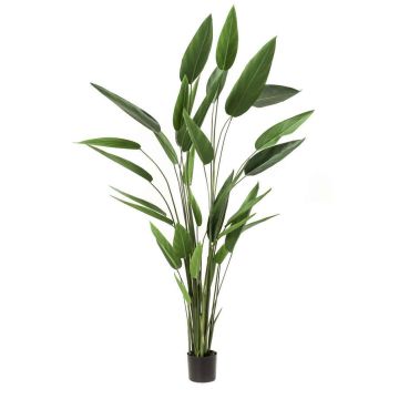 Fake Heliconia ANURIA, green, 7ft/220cm