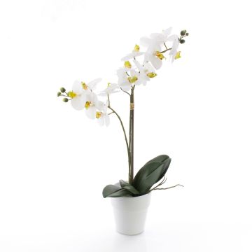 Silk phalaenopsis CANDIDA in a ceramic pot, white, 26"/65cm, Ø2.8"-3.1"/7-8cm