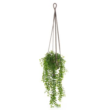 Fake Hanging basket with creeping fig SILIJA, terracotta pot, green, 31"/80cm