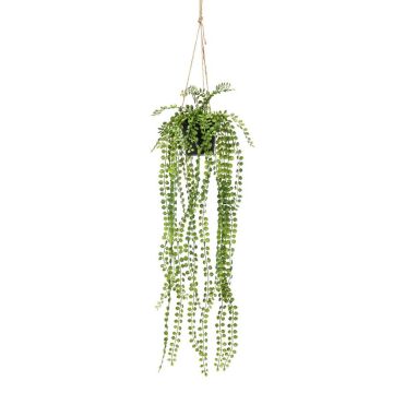 Fake Hanging basket with creeping fig PANJA, decorative pot, green, 24"/60cm