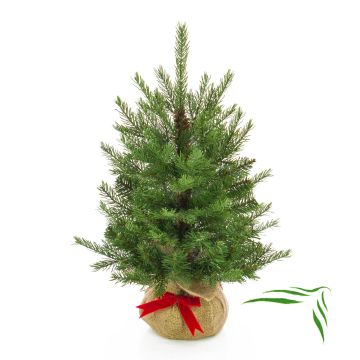 Fake Christmas tree WELLINGTON, jute bag , 24"/60cm, Ø 20"/50cm