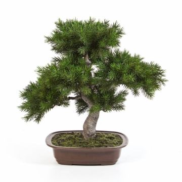 Plastic Bonsai pine SELENA, in a bonsai pot, green, 20"/50cm