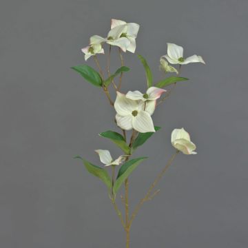 Artificial Dogwood spray KOHANA, with blooms, cream, 28"/70cm