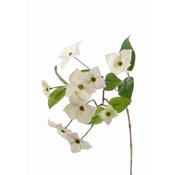 Artificial Dogwood spray KOHANA, with blooms, cream, 28"/70cm