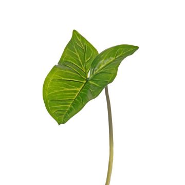 Fake Syngonium leaf JORDAN, green, 20"/50cm