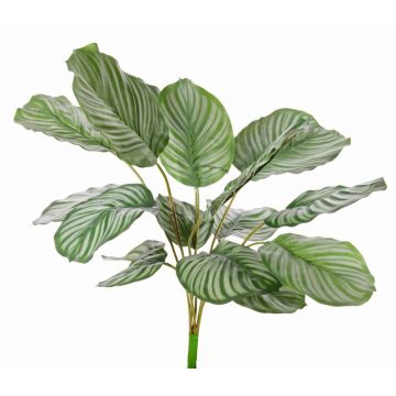 Artificial Calathea Orbifolia ZAIDA, spike, green, 30"/75cm