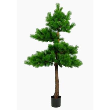 Artificial Pine tree SIXTEN, real stem, green, 7ft/215cm