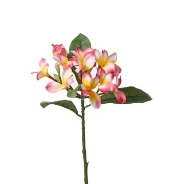 Artificial frangipani ALDAH, pink-yellow, 28"/70cm, Ø2"/5cm