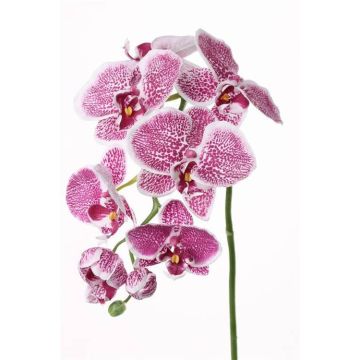 Artificial phalaenopsis spray CEDRA, violet-white, 30"/75cm, Ø2.4"-4"/6-10cm