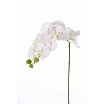 Artificial phalaenopsis spray GALINA, cream, 18"/45cm, Ø2.8"-3.1"/7-8cm