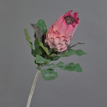 Artificial protea NELLI, pink, 30"/75cm, Ø3.1"/8cm Artificial protea NELLI, pink, 30"/75cm, Ø3.1"/8cm