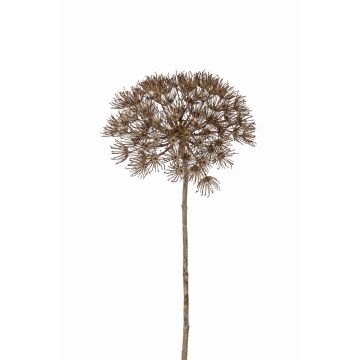 Artificial hogweed ANSARI, brown, 31"/80cm, Ø9"/22cm
