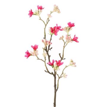 Artificial Seven son flower of Zhejiang HEDDA, pink, 20"/50cm