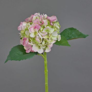 Artificial hydrangea NICKY, light pink-green, 20"/50cm, Ø6"/15cm